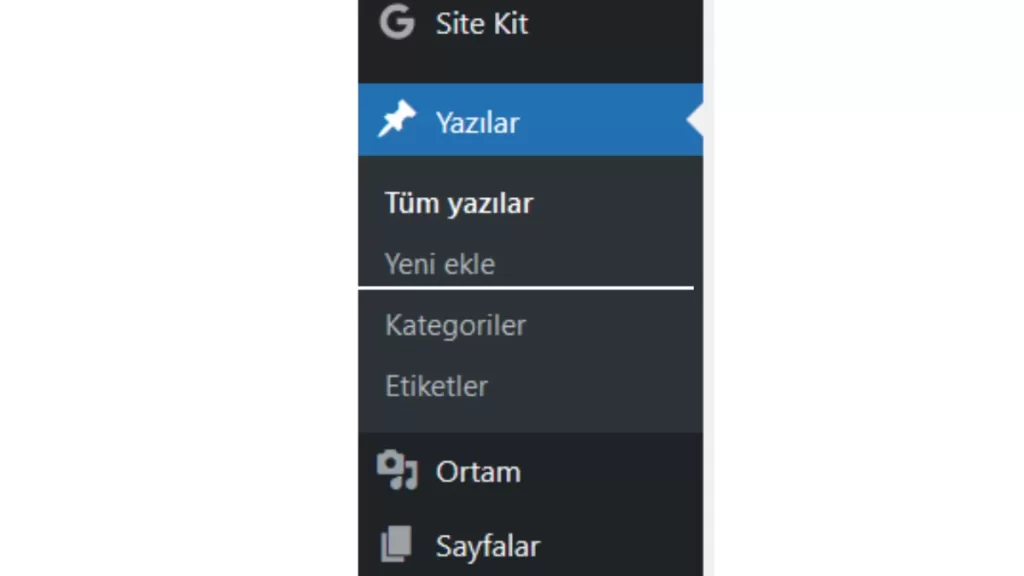 Wordpress- Tüm Yazılar- Yeni Ekle