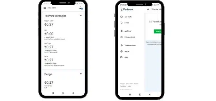 Paidwork-Reklam İzleyerek Para Kazanma- Ekran Görüntüsü